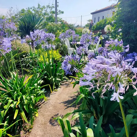 La Casa Azul Сasa de vacaciones *